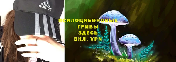 экстази Алексин