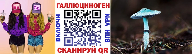 МЕГА как зайти  Дмитров  Галлюциногенные грибы прущие грибы  где можно купить  